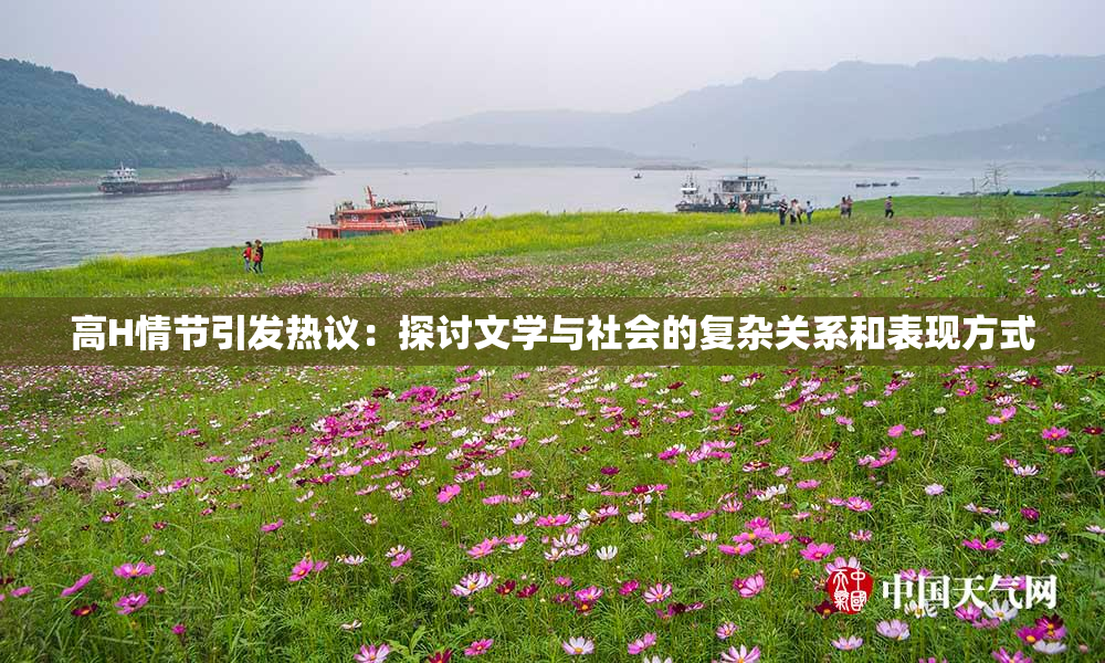 高H情节引发热议：探讨文学与社会的复杂关系和表现方式