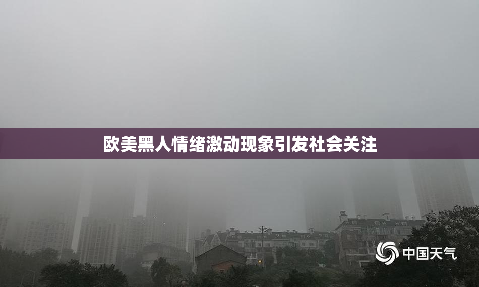 欧美黑人情绪激动现象引发社会关注