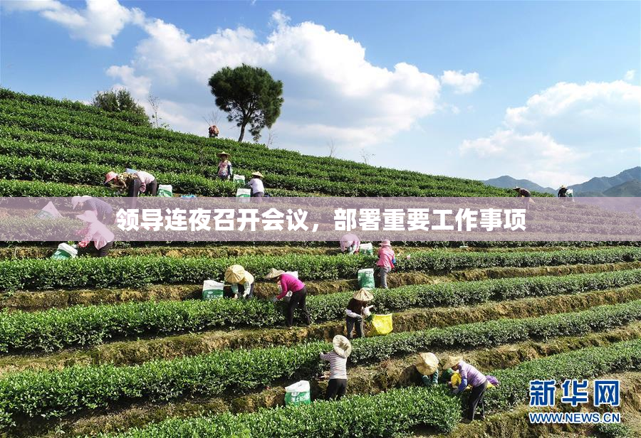 领导连夜召开会议，部署重要工作事项
