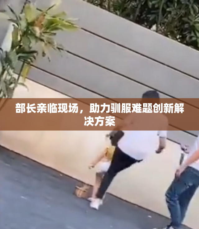 部长亲临现场，助力驯服难题创新解决方案