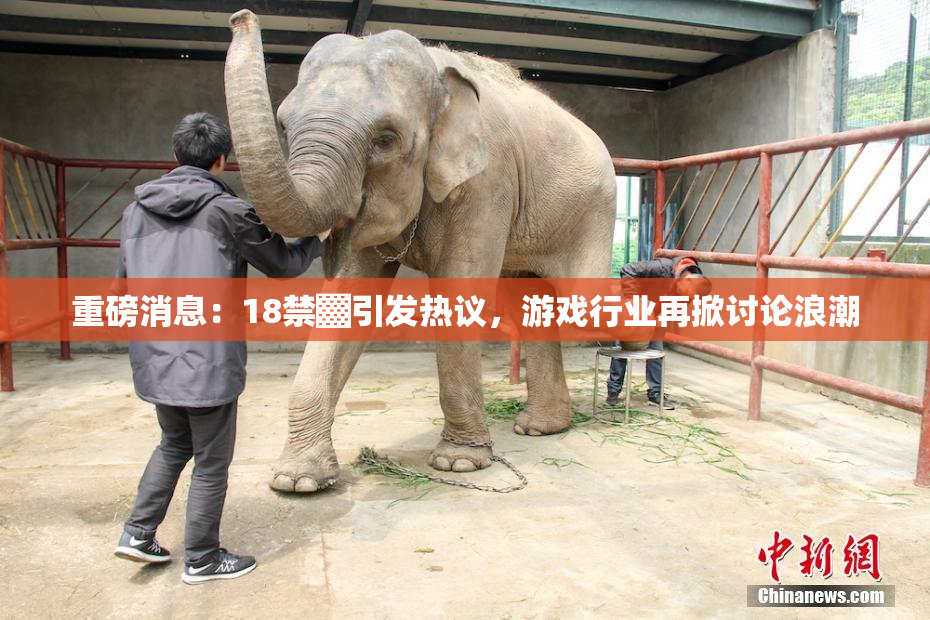 重磅消息：18禁▓引发热议，游戏行业再掀讨论浪潮