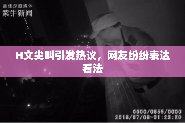 H文尖叫引发热议，网友纷纷表达看法