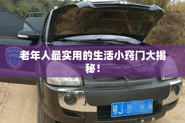 老年人最实用的生活小窍门大揭秘！