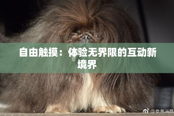 自由触摸：体验无界限的互动新境界