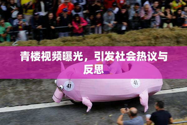 青楼视频曝光，引发社会热议与反思