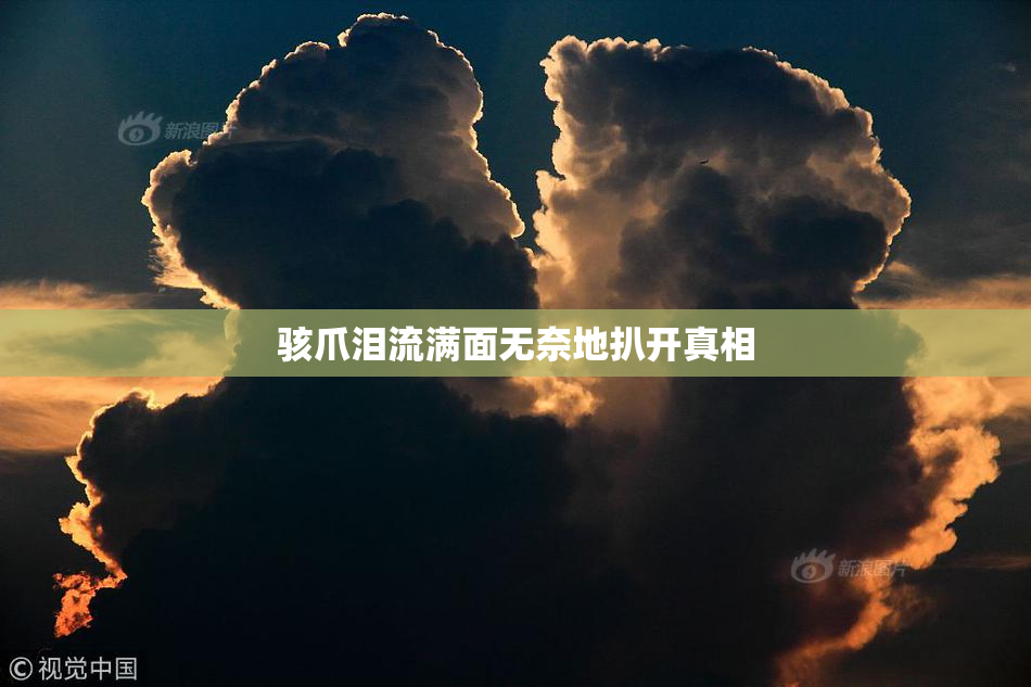 骇爪泪流满面无奈地扒开真相