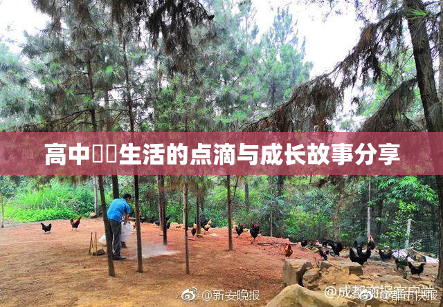 高中妺妺生活的点滴与成长故事分享