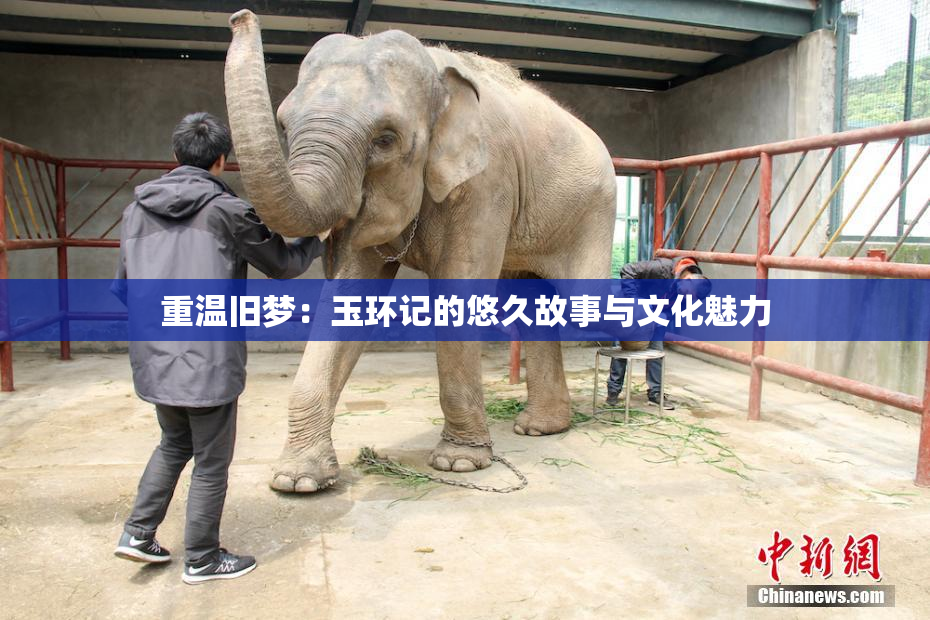 重温旧梦：玉环记的悠久故事与文化魅力