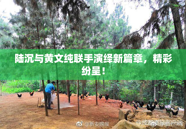 陆沉与黄文纯联手演绎新篇章，精彩纷呈！
