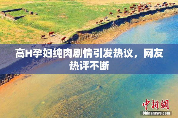 高H孕妇纯肉剧情引发热议，网友热评不断