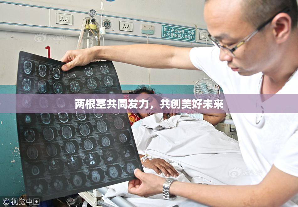 两根茎共同发力，共创美好未来
