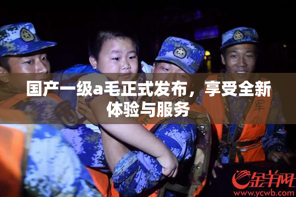 国产一级a毛正式发布，享受全新体验与服务