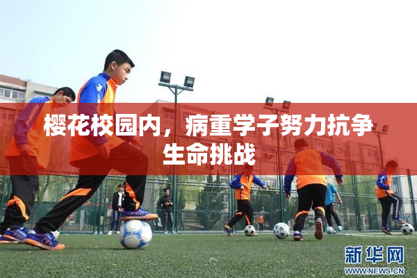 樱花校园内，病重学子努力抗争生命挑战