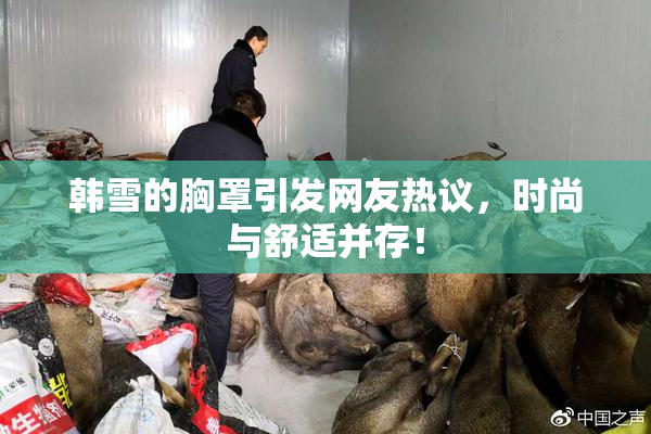 韩雪的胸罩引发网友热议，时尚与舒适并存！