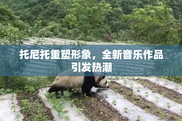 托尼托重塑形象，全新音乐作品引发热潮