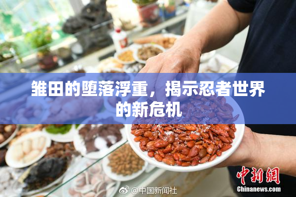 雏田的堕落浮重，揭示忍者世界的新危机