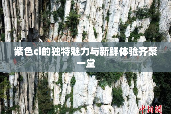 紫色ci的独特魅力与新鲜体验齐聚一堂