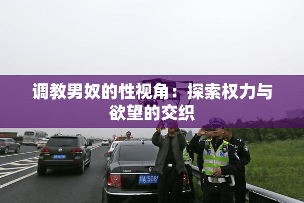 调教男奴的性视角：探索权力与欲望的交织