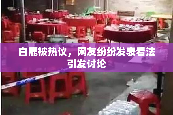 白鹿被热议，网友纷纷发表看法引发讨论