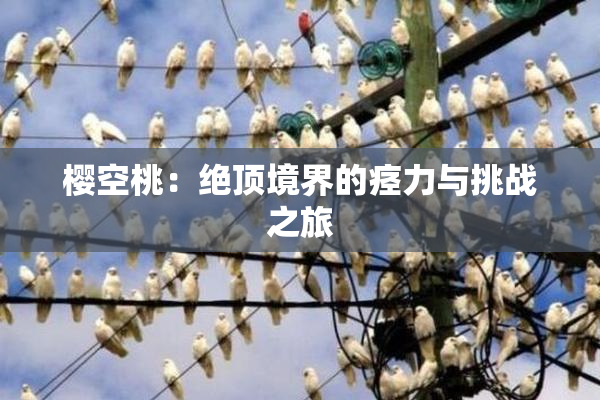 樱空桃：绝顶境界的痉力与挑战之旅