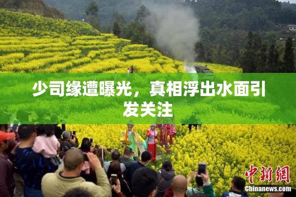 少司缘遭曝光，真相浮出水面引发关注