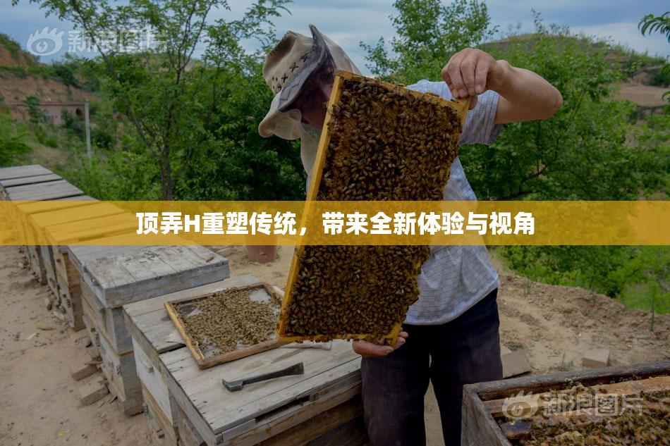 顶弄H重塑传统，带来全新体验与视角