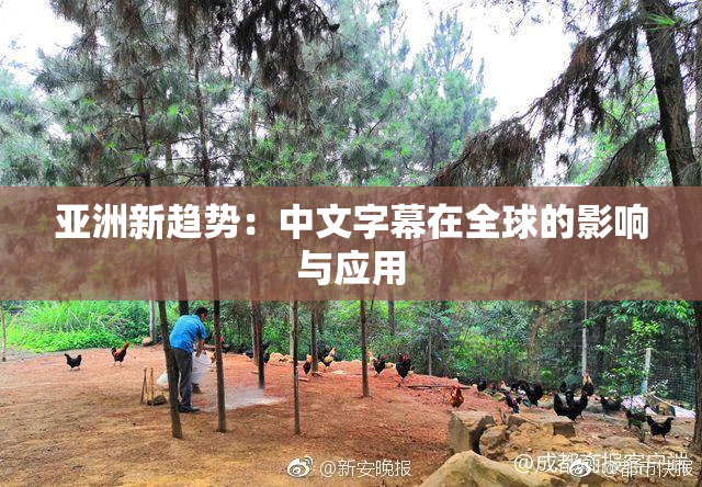 亚洲新趋势：中文字幕在全球的影响与应用