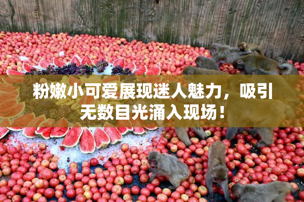 粉嫩小可爱展现迷人魅力，吸引无数目光涌入现场！