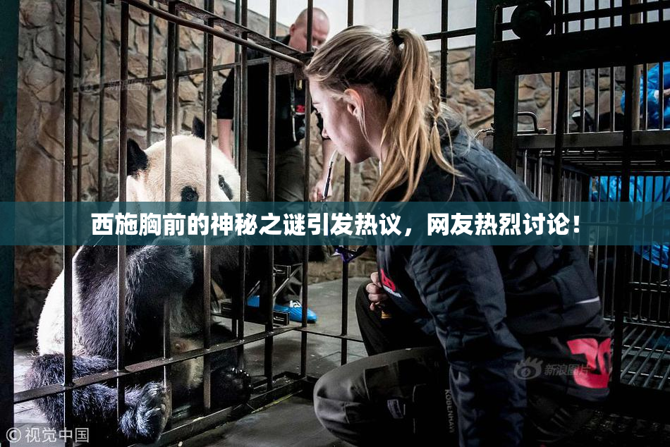 西施胸前的神秘之谜引发热议，网友热烈讨论！