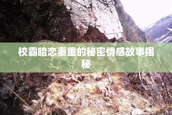 校霸暗恋秦重的秘密情感故事揭秘