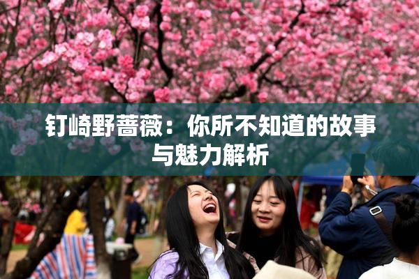 钉崎野蔷薇：你所不知道的故事与魅力解析