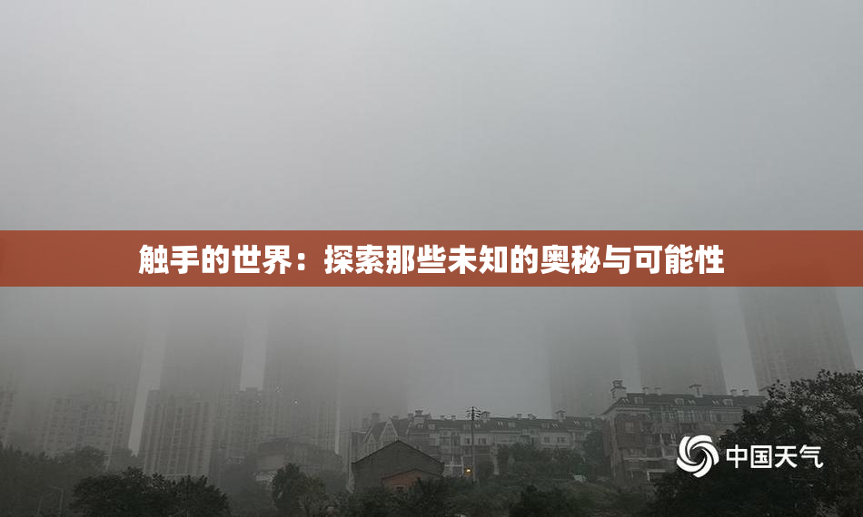 触手的世界：探索那些未知的奥秘与可能性
