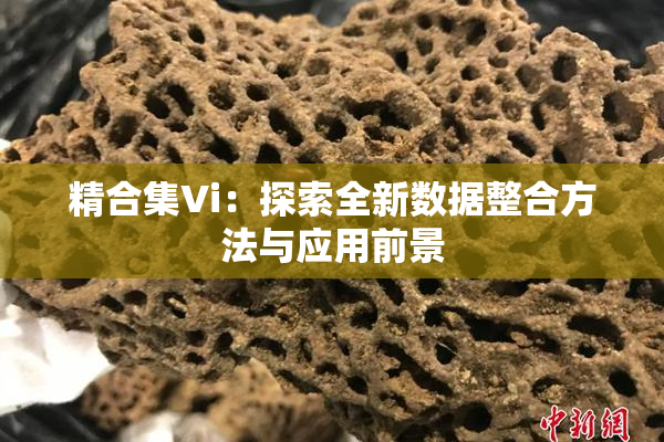 精合集Vi：探索全新数据整合方法与应用前景