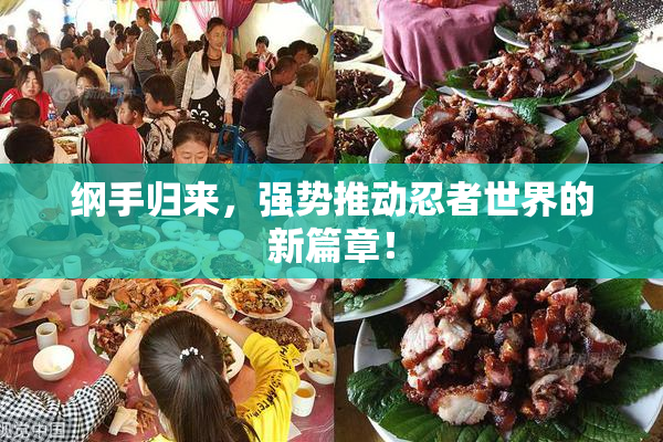 纲手归来，强势推动忍者世界的新篇章！