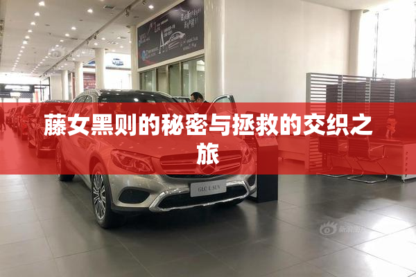 藤女黑则的秘密与拯救的交织之旅