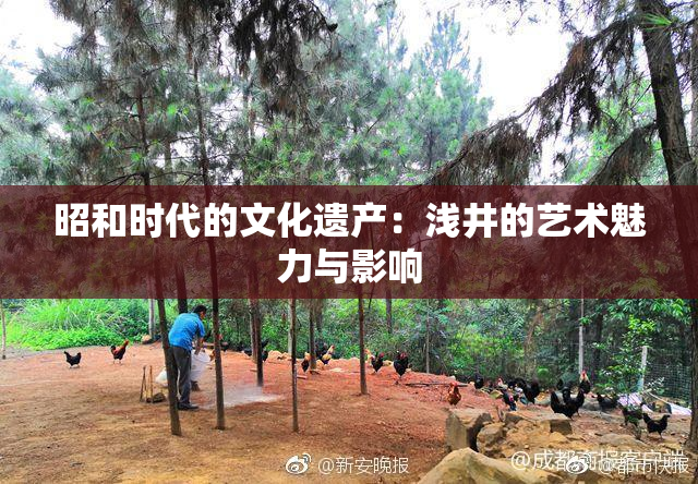 昭和时代的文化遗产：浅井的艺术魅力与影响