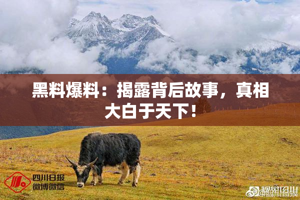 黑料爆料：揭露背后故事，真相大白于天下！
