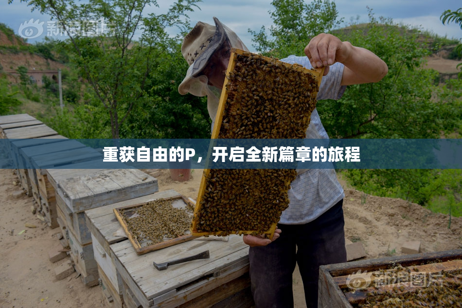 重获自由的P，开启全新篇章的旅程