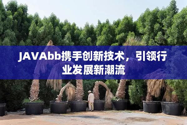 JAVAbb携手创新技术，引领行业发展新潮流
