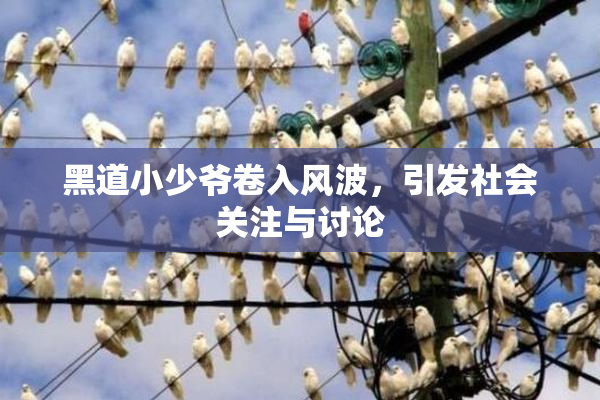 黑道小少爷卷入风波，引发社会关注与讨论