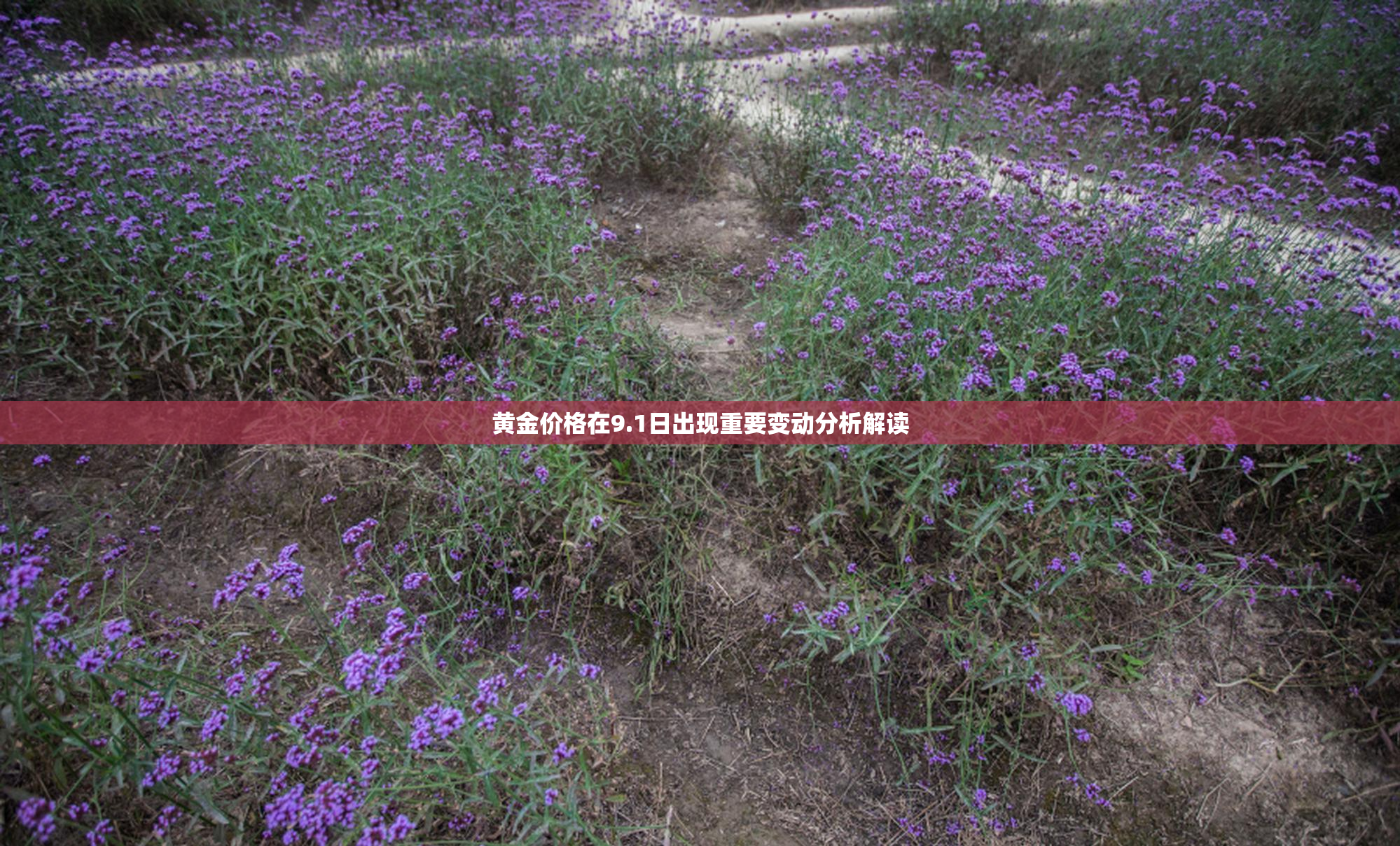 黄金价格在9.1日出现重要变动分析解读