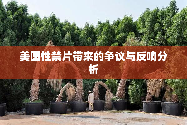 美国性禁片带来的争议与反响分析