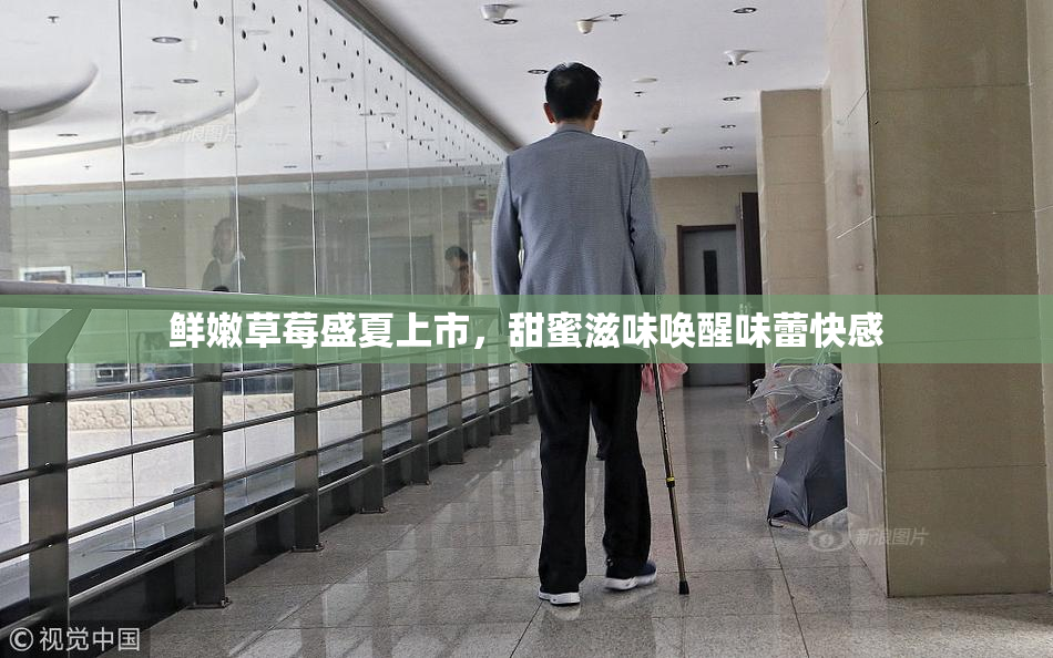 鲜嫩草莓盛夏上市，甜蜜滋味唤醒味蕾快感