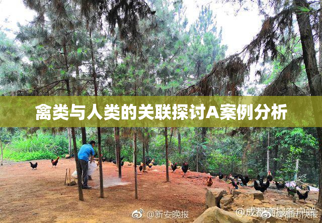 禽类与人类的关联探讨A案例分析