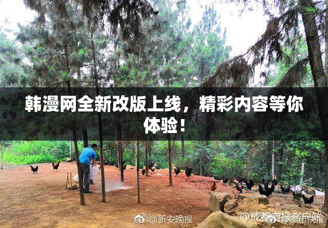 韩漫网全新改版上线，精彩内容等你体验！