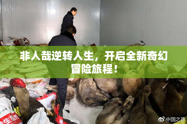 非人哉逆转人生，开启全新奇幻冒险旅程！