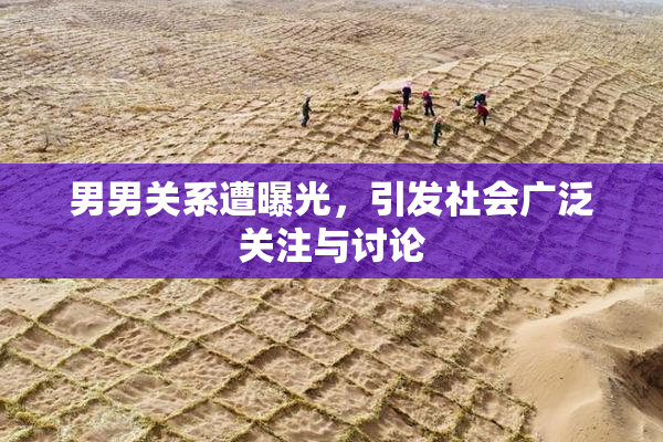 男男关系遭曝光，引发社会广泛关注与讨论
