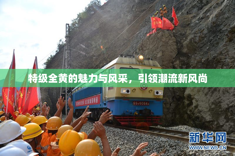 特级全黄的魅力与风采，引领潮流新风尚