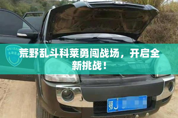 荒野乱斗科莱勇闯战场，开启全新挑战！