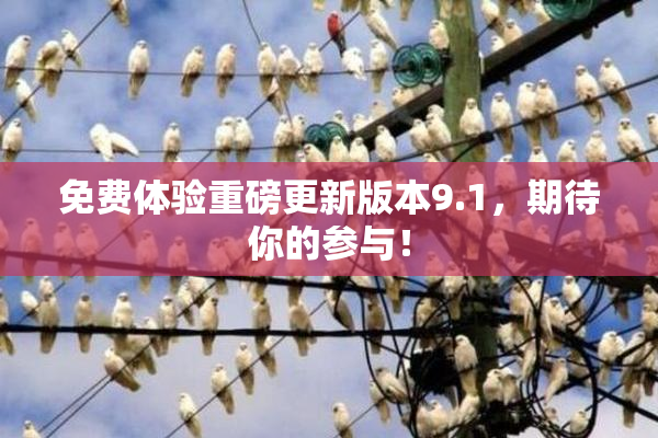免费体验重磅更新版本9.1，期待你的参与！